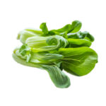 bok choy cabbage