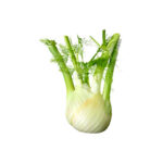 fennel