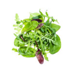 mesclun