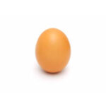 egg