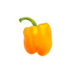 yellow bell pepper