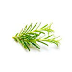 rosemary