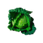 green cabbage