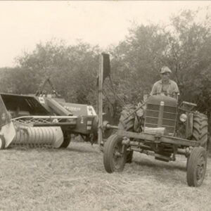 Construction of a new cheese factory